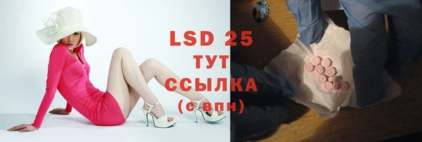 гашик Нефтекумск