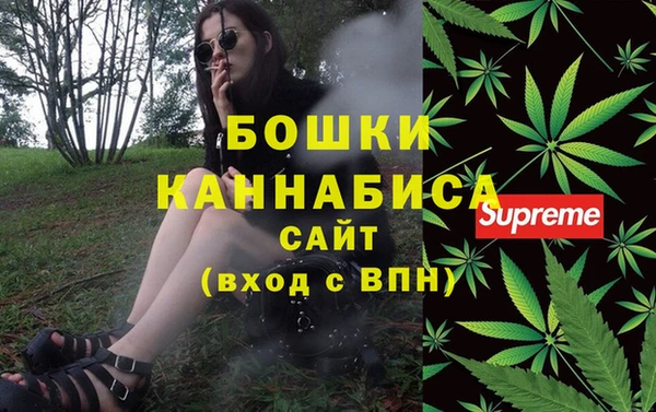 гашик Нефтекумск