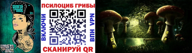 сайты даркнета состав  Шиханы  Галлюциногенные грибы Psilocybe 